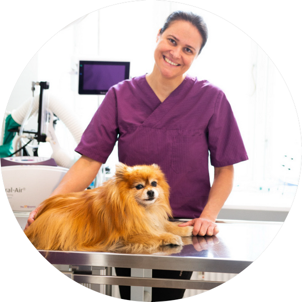 Dyrlæge Sabine Förderer